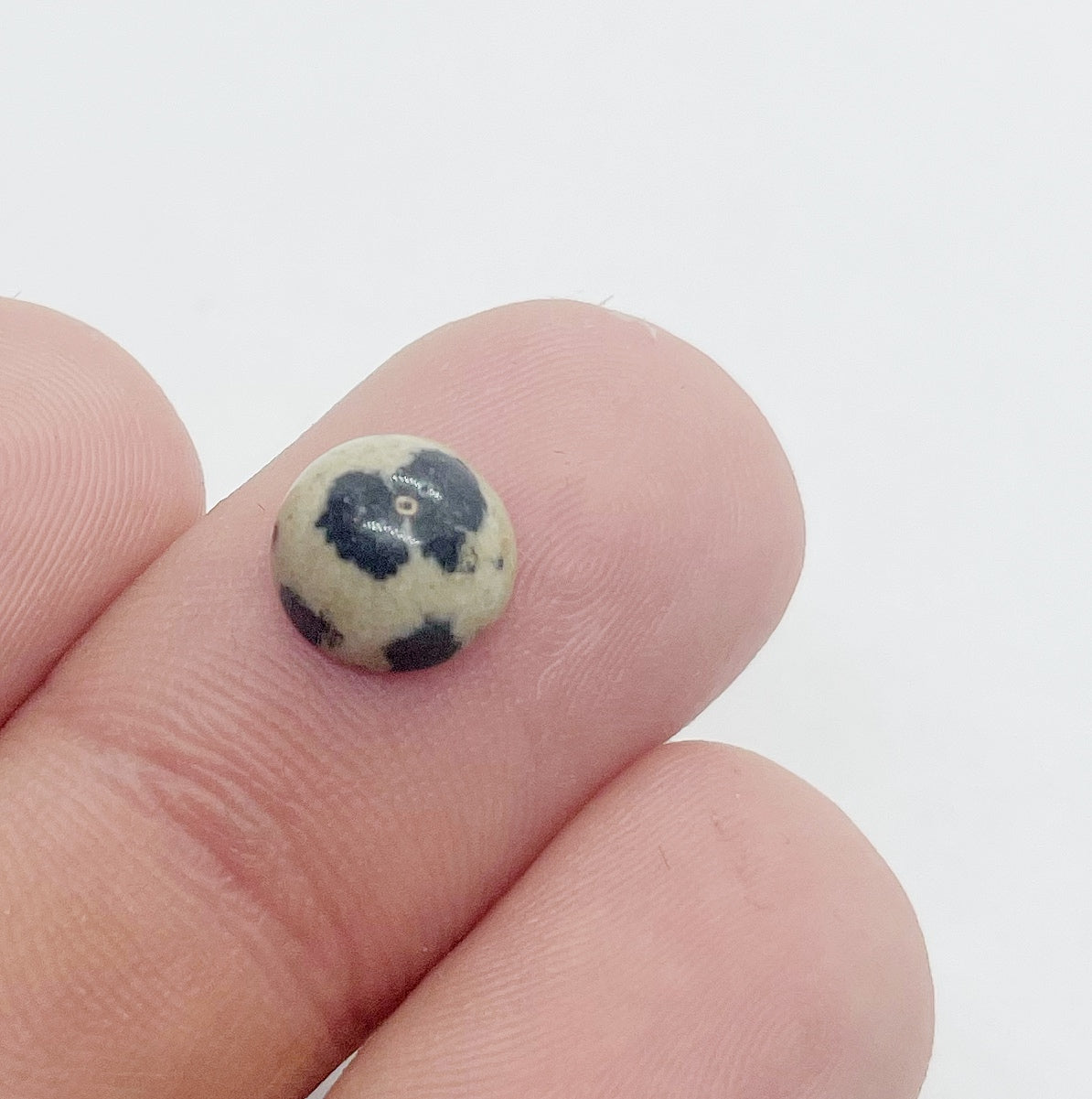 Dalmation Jasper - Round
