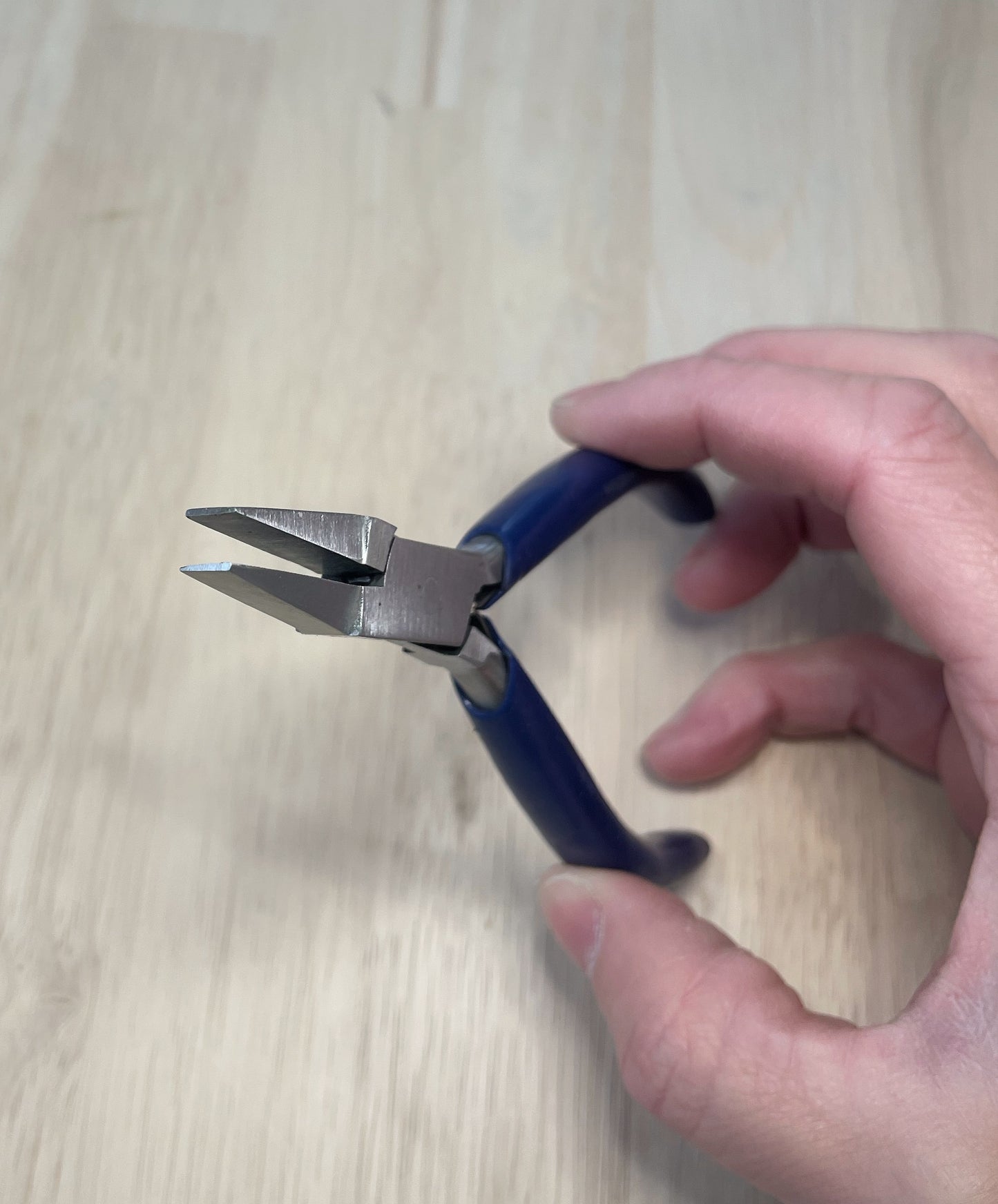 Economy Flat Nose Pliers