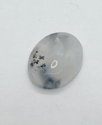 Dendrite Opal - Oval