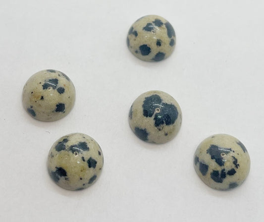 Dalmation Jasper - Round