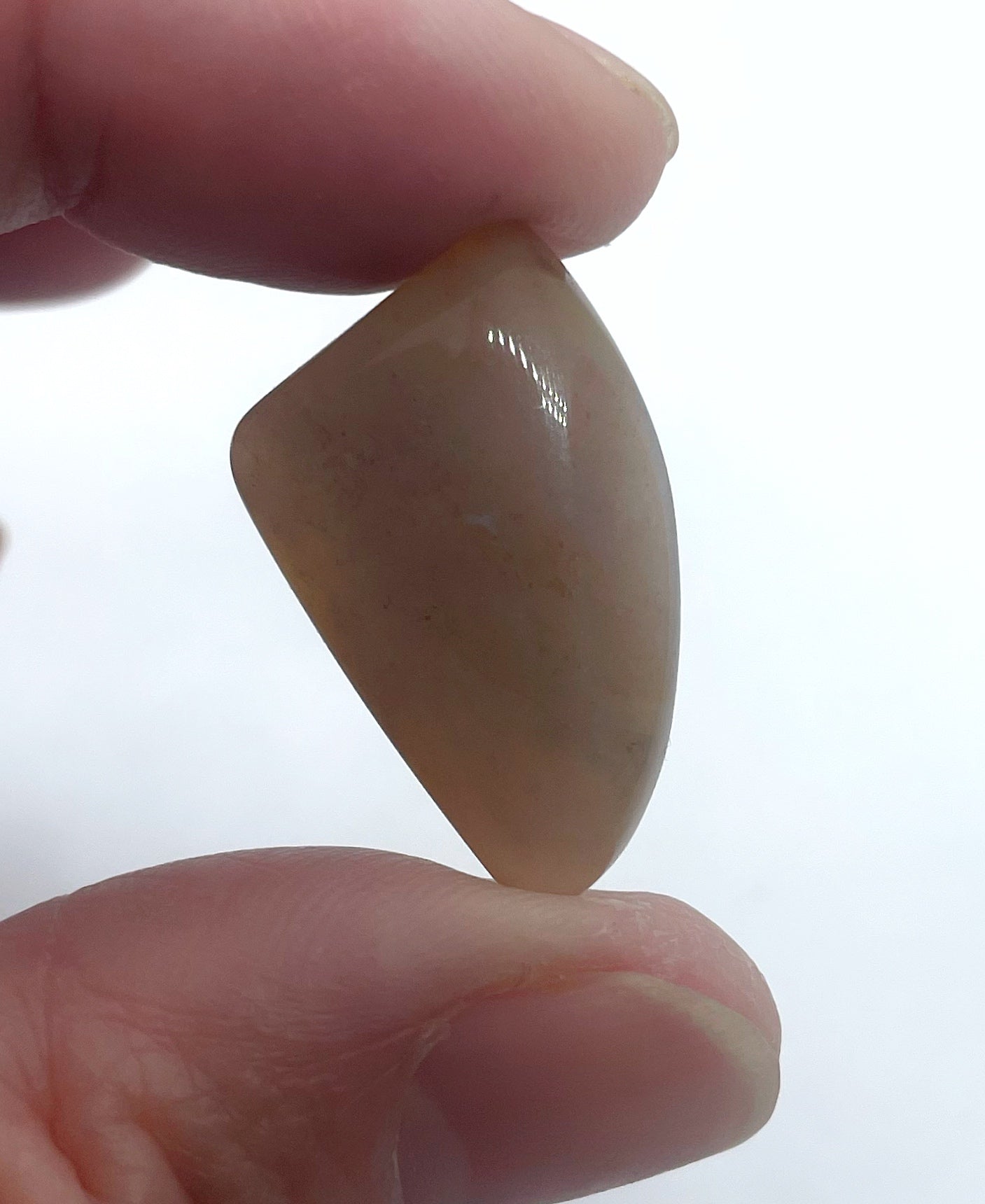 Pink Agate - Tusk