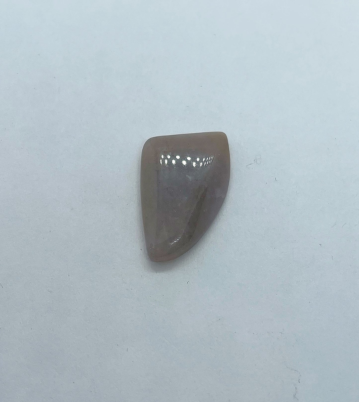 Pink Agate - Tusk