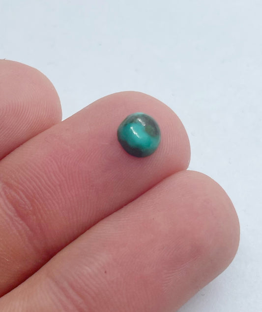 Tibetan Turquoise - Round
