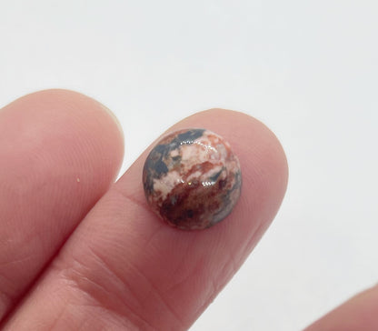 Bird's Eye Jasper - Round