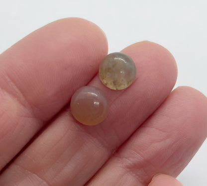 Ocean Jasper - Round