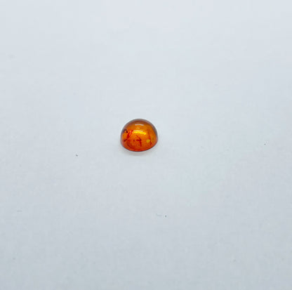 Amber - Round