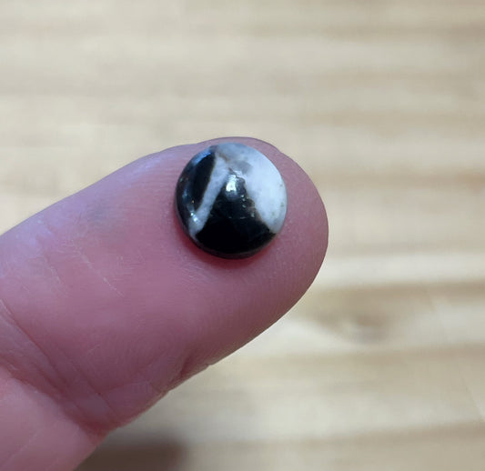 White Buffalo Turquoise - Round Cabochon