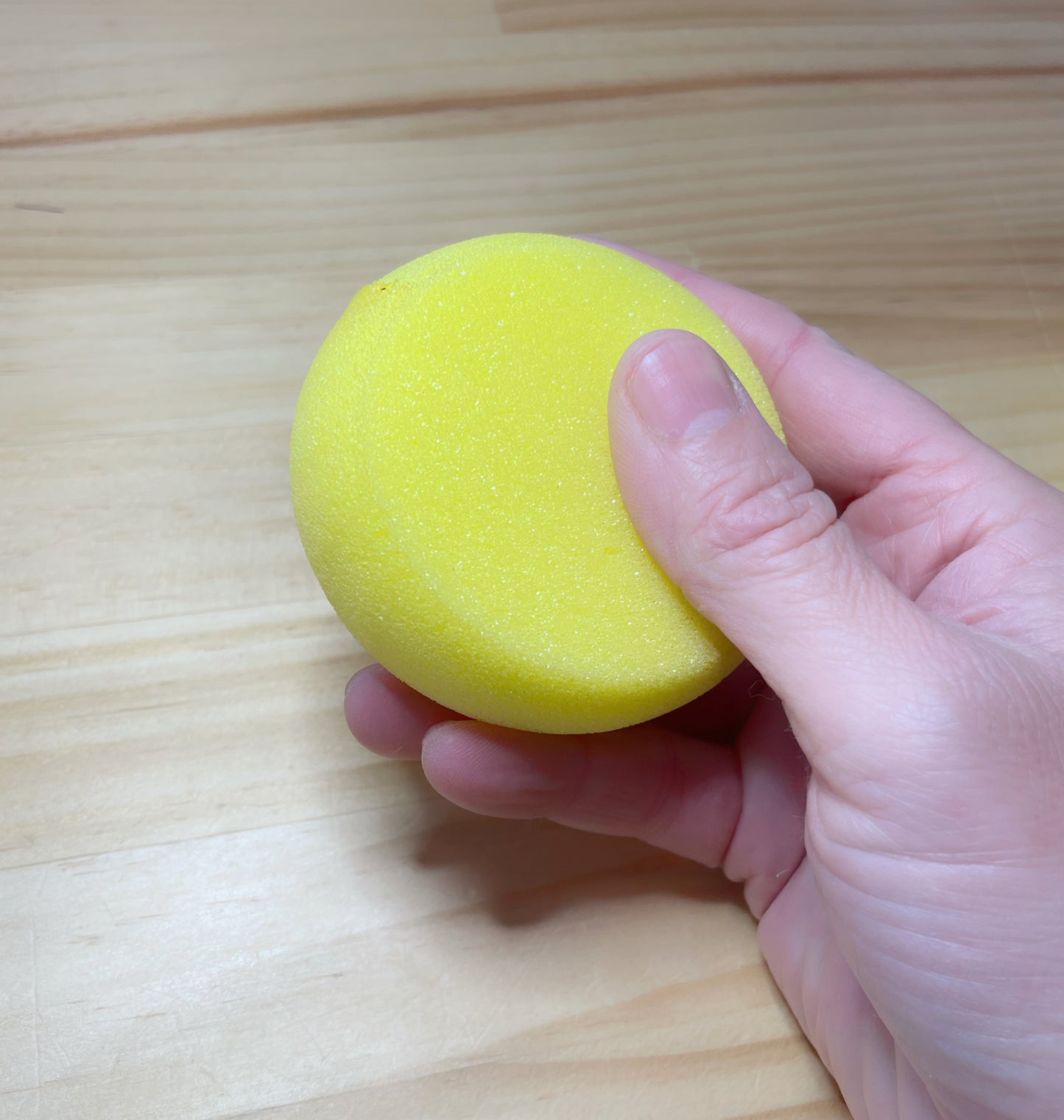Pottery Sponge