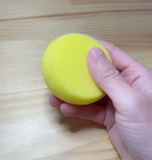 Pottery Sponge